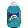 Lysol Desinfectante Multiusos 5 lts